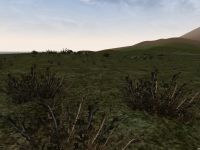 Grassland (old)