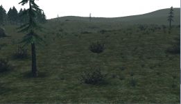 Grasslands