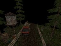 Forest walk1