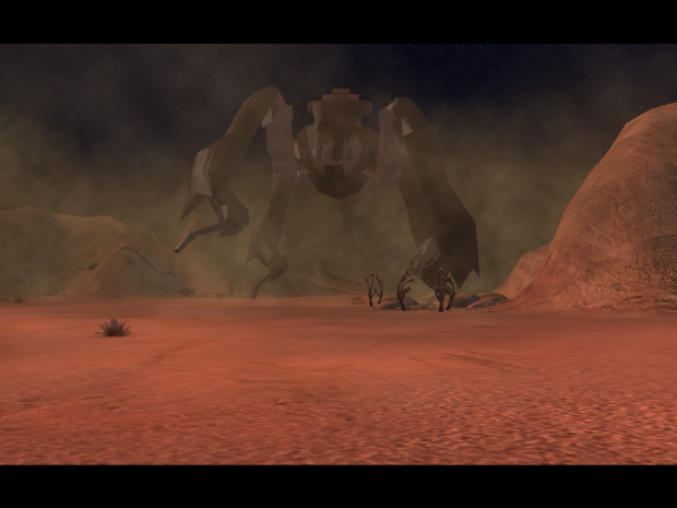 Scarab
