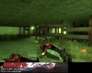 ingame