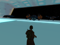 Docked ships (back veiw)