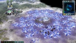 Mutation