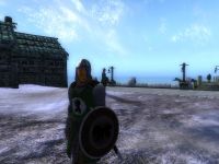 Thorlak Island Screens