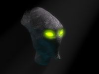 Toss Head Test