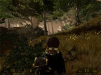 Forest Enviroment