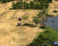 Savannah