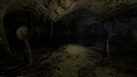 the caves