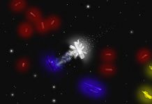 New concept render of Crystalline