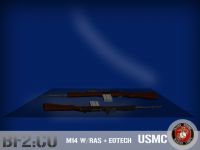M14 Skinned Render