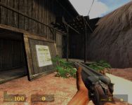 In game /in action screens
