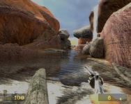 In game /in action screens