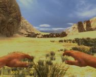 In game /in action screens