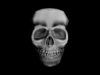 Dunric's Skull Model