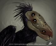 Bird Concept