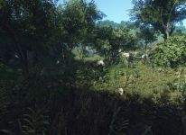 Level 2: Awakening