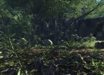 Level 2: Awakening