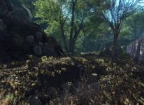 Level 2: Awakening