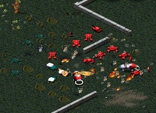 cropped screenshot