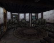 Town Customization