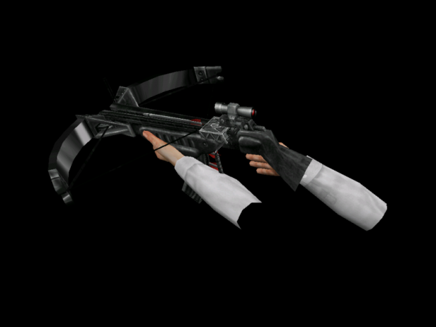 New Crossbow Skin