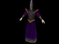 Dark Elf warrior