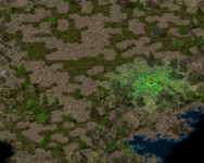 New Grass