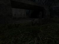 Forest Updates 