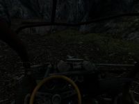 Forest Updates 