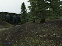 Forest Update