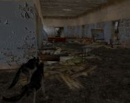 Meet the DOGS!