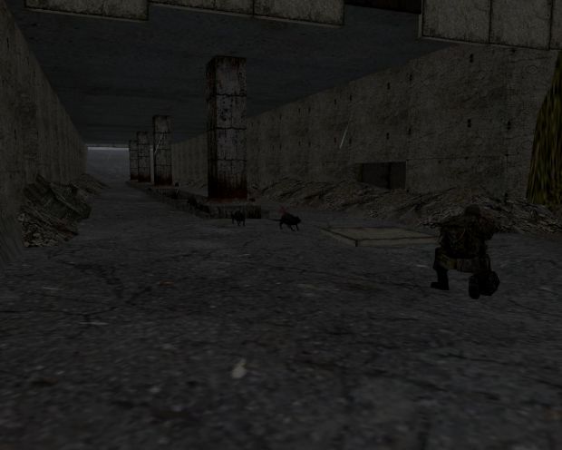 Rostok