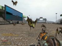 Antlion Soccer