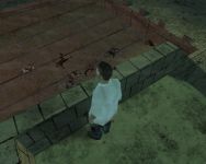 Ingame