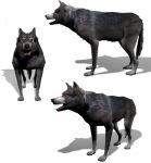 Wolf Monster