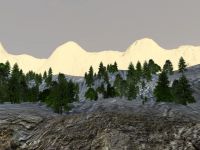 January update