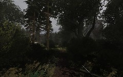 Spring in Pripyat