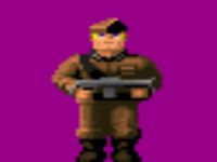 Wolfenstein Maximum's Models