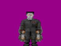 Wolfenstein Maximum's Models
