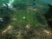 Terranexus and Field Creation