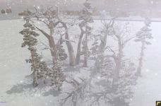 More trees