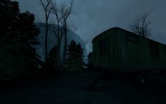 More forest shots