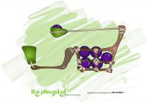 The Slingshot