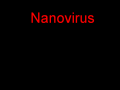 Nanovirus