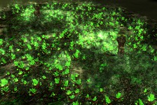Tiberium Field