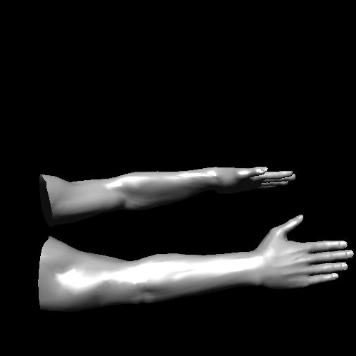 arms