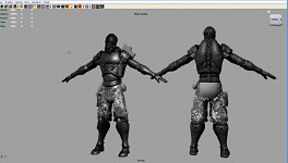WIP assault