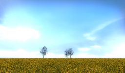 Radiator 1-3, Much Madness - Buttercup fields