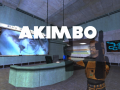 Akimbo: Half-Life