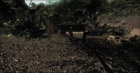 Voice of the jungle